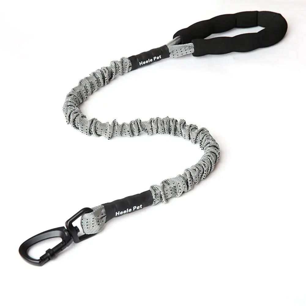Cushioned Flexible Dog Leash with Elastic Buffering
