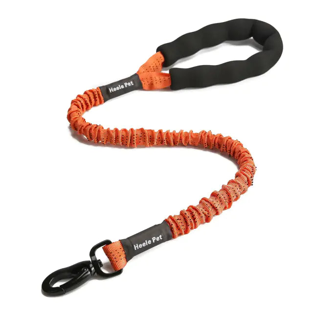 Cushioned Flexible Dog Leash with Elastic Buffering