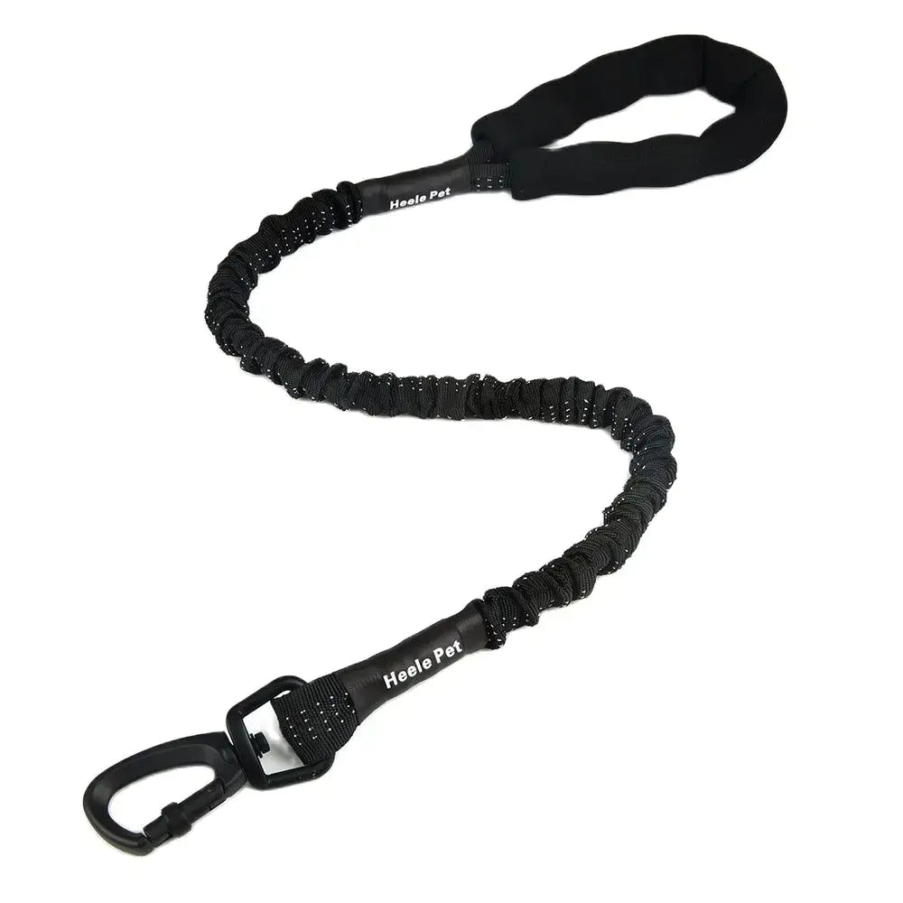 Cushioned Flexible Dog Leash with Elastic Buffering
