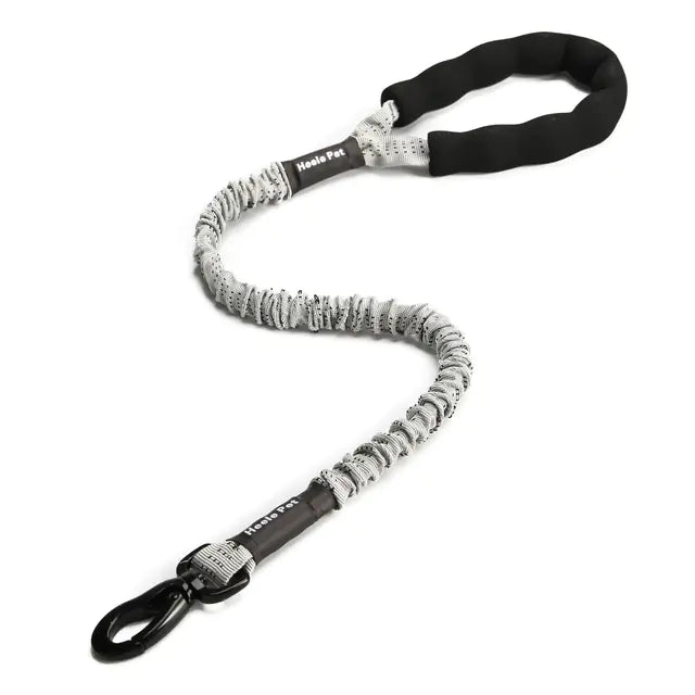 Cushioned Flexible Dog Leash with Elastic Buffering