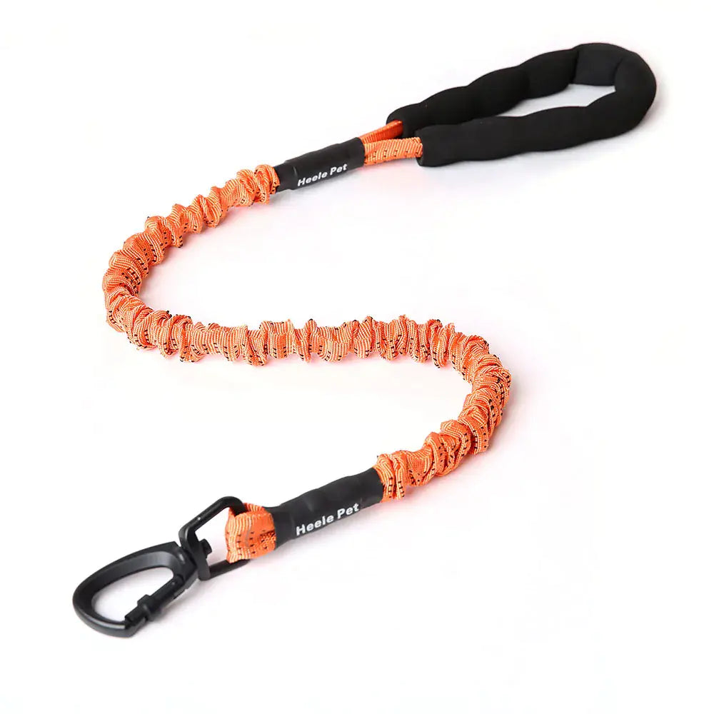 Cushioned Flexible Dog Leash with Elastic Buffering