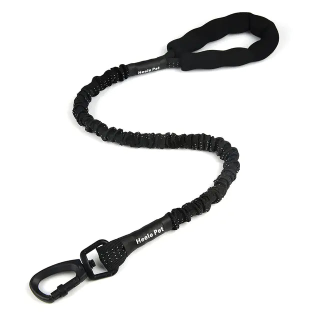Cushioned Flexible Dog Leash with Elastic Buffering